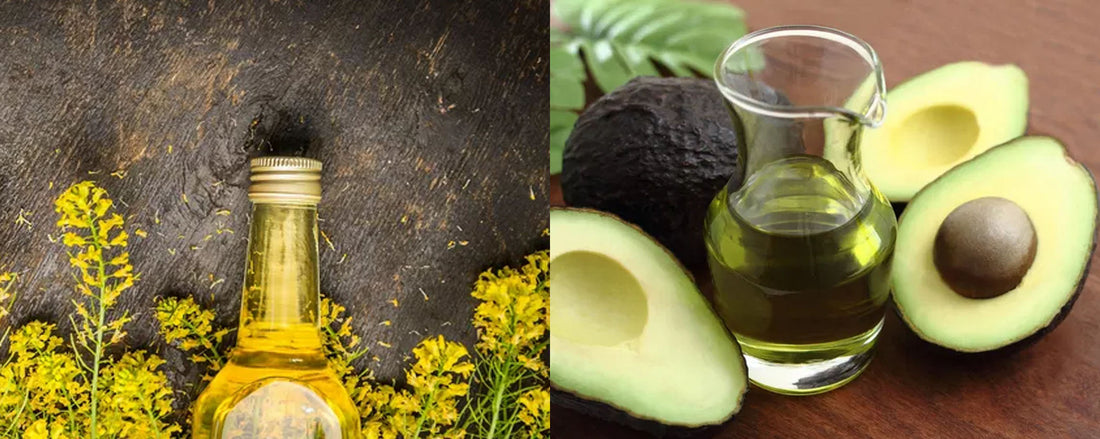 Canola oil VS avocado oil