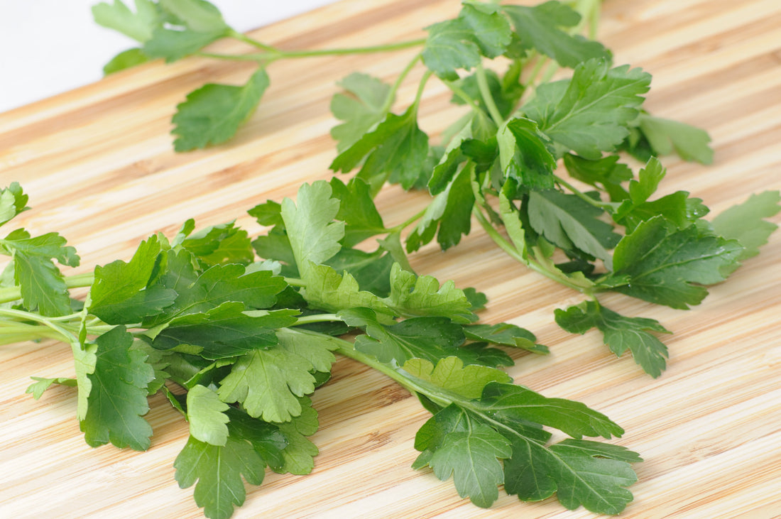 Does Chimichurri Have Cilantro? | Authentic Argentinian Recipe by Pablo Kim