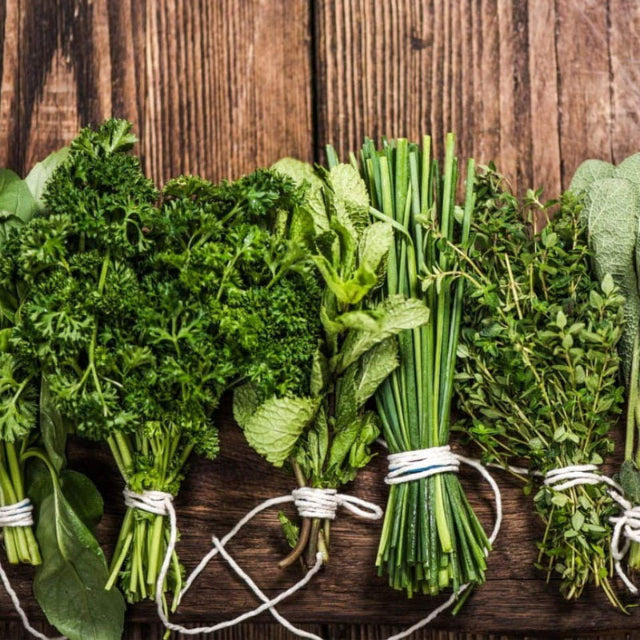 Fresh herbs for chimichurri sauce parsley, oregano