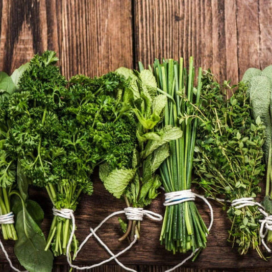 Fresh herbs for chimichurri sauce parsley, oregano